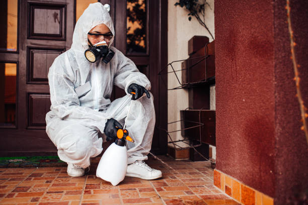 Attic and Crawl Space Rodent Treatment in Finderne